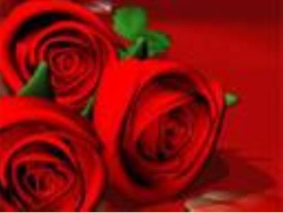 tous &ccedil;a pr toi ma vie